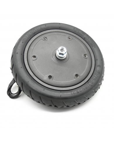 Motor 350W neumático + cámara delantera Motus Scooty 8.5 Power