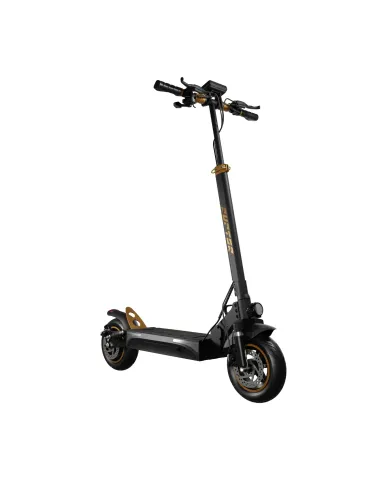 Patinete eléctrico RUPTOR R1 Lite V2 Cobre