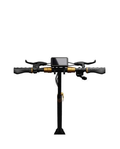 Patinete eléctrico RUPTOR R1 V2 Cobre | 500W 20Ah