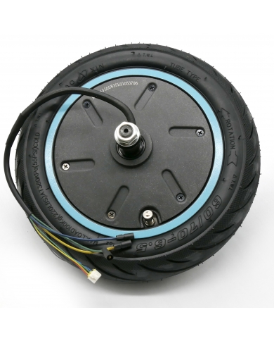 Motor 500W neumático + cámara trasera Motus Scooty 10 PLUS