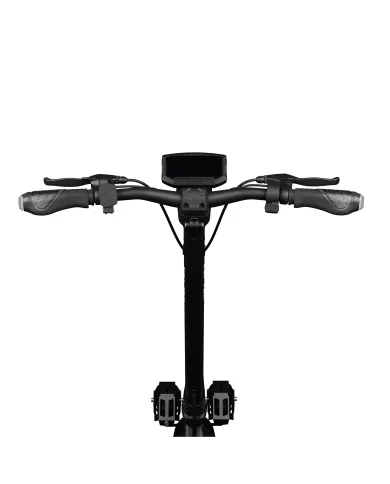 Patinete eléctrico RUPTOR R3 V4 Black