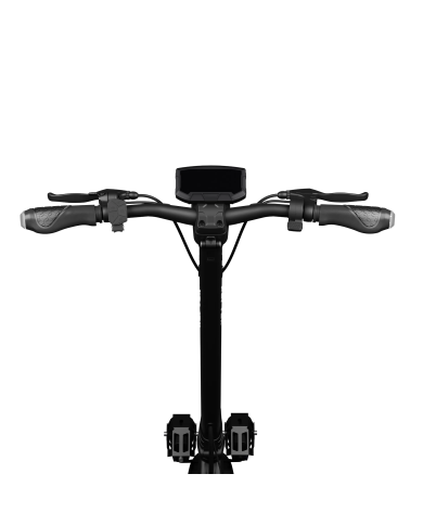 Patinete eléctrico RUPTOR R6 V4 Black